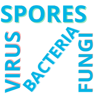 Spores, Virus, Bacteria, Fungi wordart